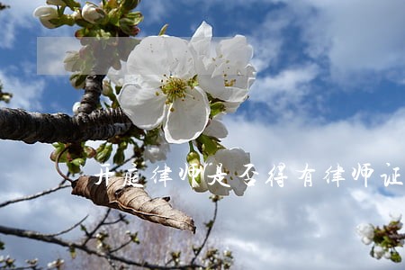 开庭律师是否得有律师证 开庭律师是否得有律师证