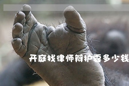 开庭找律师辩护要多少钱 开庭找律师辩护要多少钱