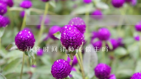 开庭时间律师能做主吗 开庭时间律师能做主吗