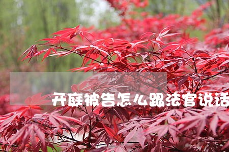 开庭被告怎么跟法官说话 开庭被告怎么跟法官说话