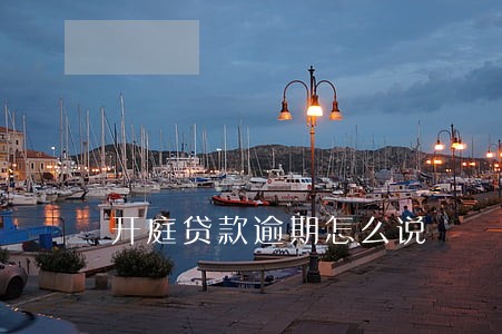 开庭贷款逾期怎么说 开庭贷款逾期怎么说