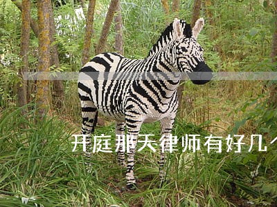 开庭那天律师有好几个开庭的 开庭那天律师有好几个开庭的