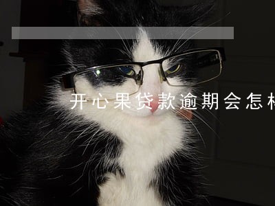 开心果贷款逾期会怎样 开心果贷款逾期会怎样
