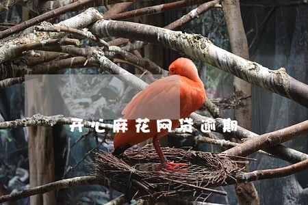 开心麻花网贷逾期 开心麻花网贷逾期