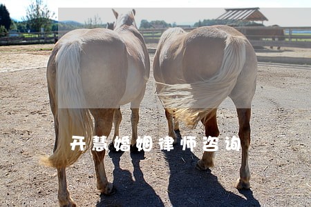 开慧婚姻律师咨询