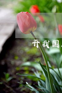 开我国政府信息公开立法先河 开我国政府信息公开立法先河