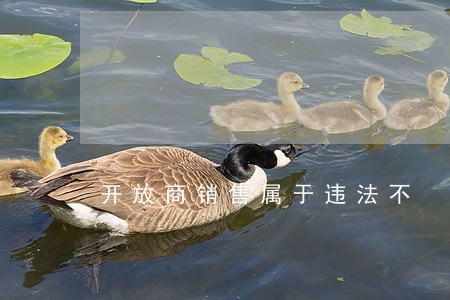 开放商销售属于违法不 开放商销售属于违法不