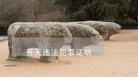 开无违法犯罪证明 开无违法犯罪证明