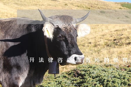 开法律咨询服务所的条件