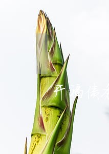 开福债务合同律师网站 开福债务合同律师网站