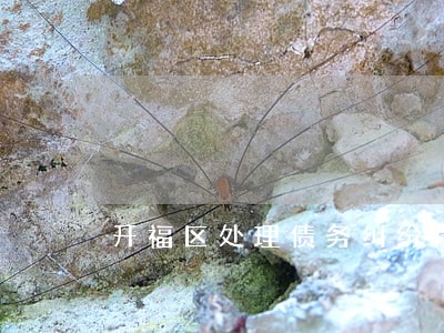 开福区处理债务纠纷律师 开福区处理债务纠纷律师