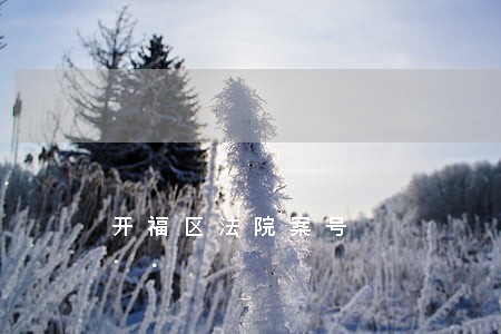 开福区法院案号