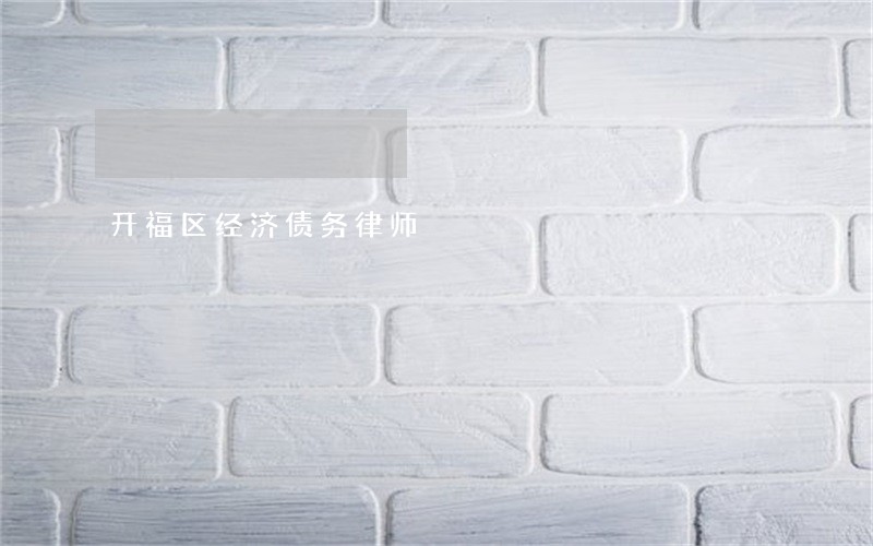 开福区经济债务律师 开福区经济债务律师
