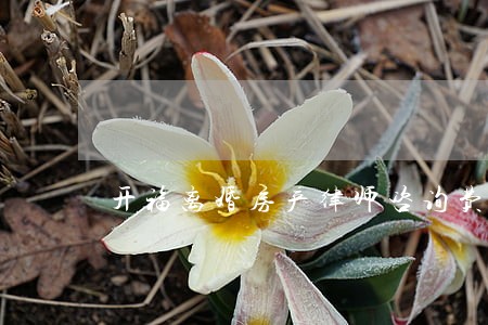 开福离婚房产律师咨询费 开福离婚房产律师咨询费