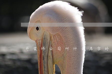开装修公司叫什么名字好一点 开装修公司叫什么名字好一点
