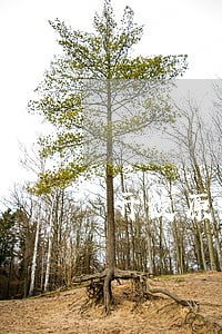 开设原油期货吧违法吗