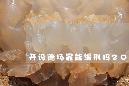 开设赌场罪能缓刑吗2021