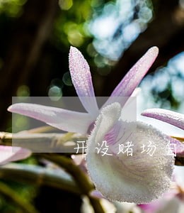 开设赌场自己也赌会更严重吗 开设赌场自己也赌会更严重吗