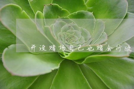 开设赌场自己也赌会行政拘留 开设赌场自己也赌会行政拘留