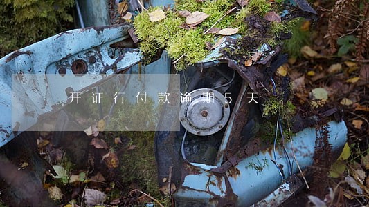 开证行付款逾期5天 开证行付款逾期5天