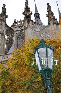 开证行在信用证逾期1个月后注销 开证行在信用证逾期1个月后注销