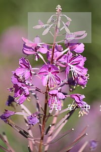 开车中忽然停下会违法吗