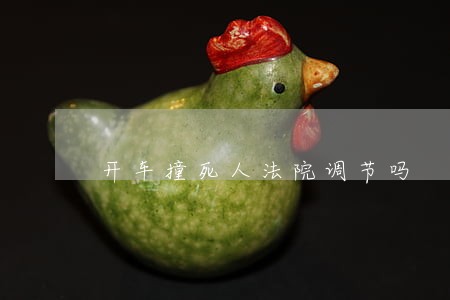 开车撞死人法院调节吗 开车撞死人法院调节吗