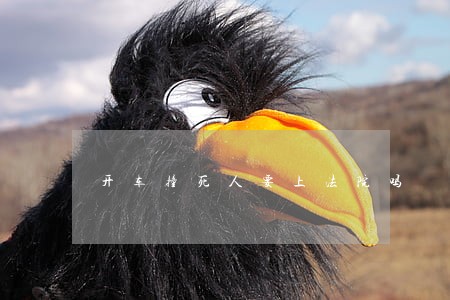 开车撞死人要上法院吗