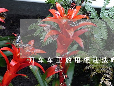 开车车里放甩棍违法吗 开车车里放甩棍违法吗