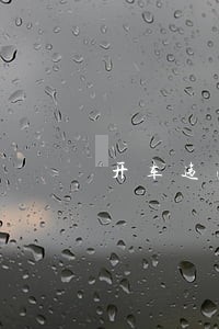 开车违法实禁令什么处理 开车违法实禁令什么处理