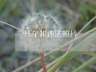 开车邦违法照片 开车邦违法照片