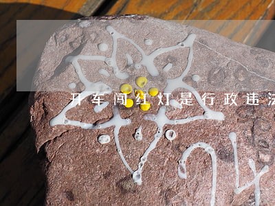 开车闯红灯是行政违法