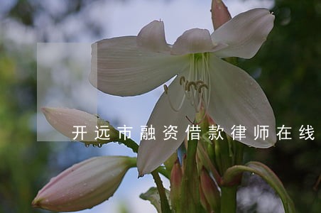 开远市融资借款律师在线免费咨询 开远市融资借款律师在线免费咨询