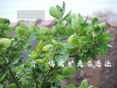 开釆鸡窝矿是否违法 开釆鸡窝矿是否违法
