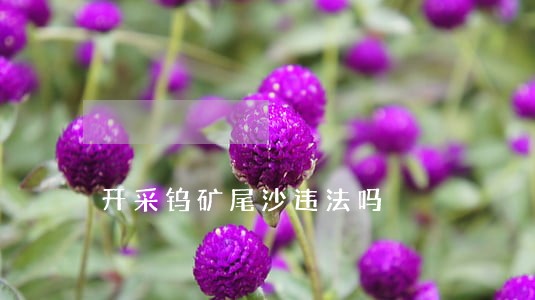 开采钨矿尾沙违法吗 开采钨矿尾沙违法吗