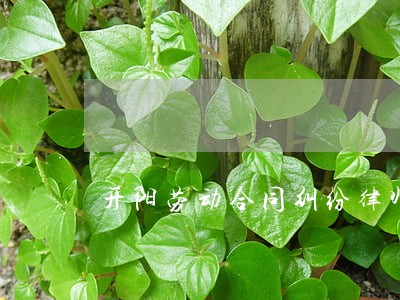 开阳劳动合同纠纷律师 开阳劳动合同纠纷律师