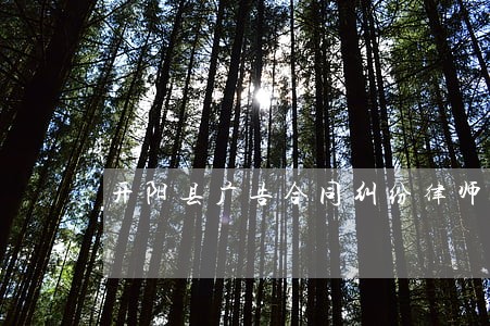开阳县广告合同纠纷律师 开阳县广告合同纠纷律师