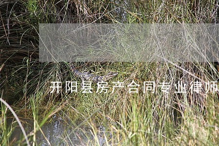 开阳县房产合同专业律师 开阳县房产合同专业律师