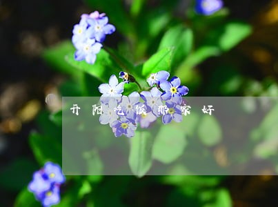 开阳吃饭那家好 开阳吃饭那家好