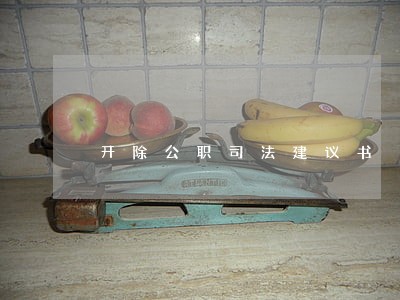 开除公职司法建议书 开除公职司法建议书