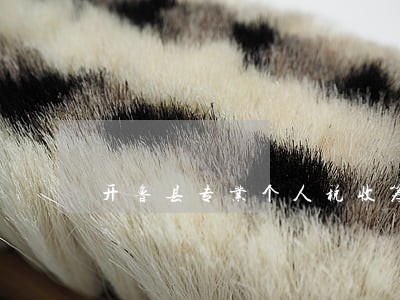 开鲁县专业个人税收筹划律师 开鲁县专业个人税收筹划律师