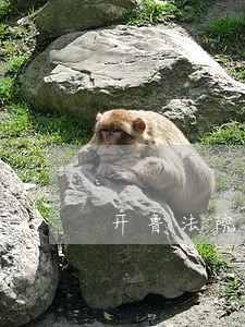 开鲁法院朱毅的电话 开鲁法院朱毅的电话