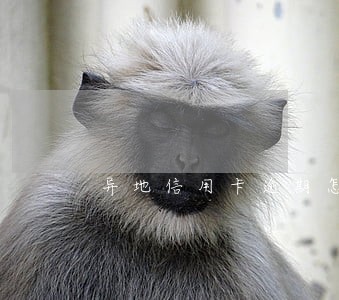 异地信用卡逾期怎么办理 异地信用卡逾期怎么办理