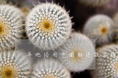 异地信用卡逾期还款后被冻结 异地信用卡逾期还款后被冻结