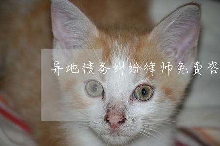 异地债务纠纷律师免费咨询