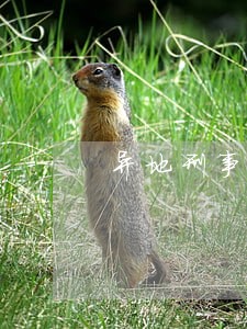 异地刑事案律师咨询费 异地刑事案律师咨询费