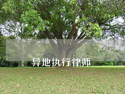 异地执行律师 异地执行律师