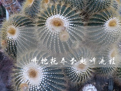 异地抚养费起诉流程 异地抚养费起诉流程
