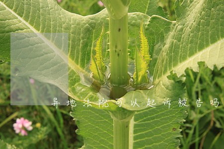异地法院可以起诉被告吗 异地法院可以起诉被告吗