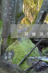 异地法院委托土地评估有什么条件 异地法院委托土地评估有什么条件